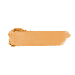 CORRETIVO STICK COVER M-02 FRAN BY FRANCINY EHLKE