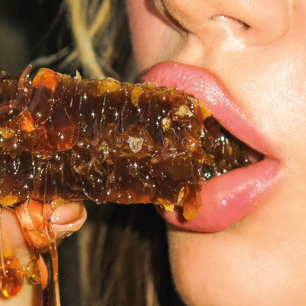 GLOSS LIPHONEY FRAN BY FRANCINY EHLKE